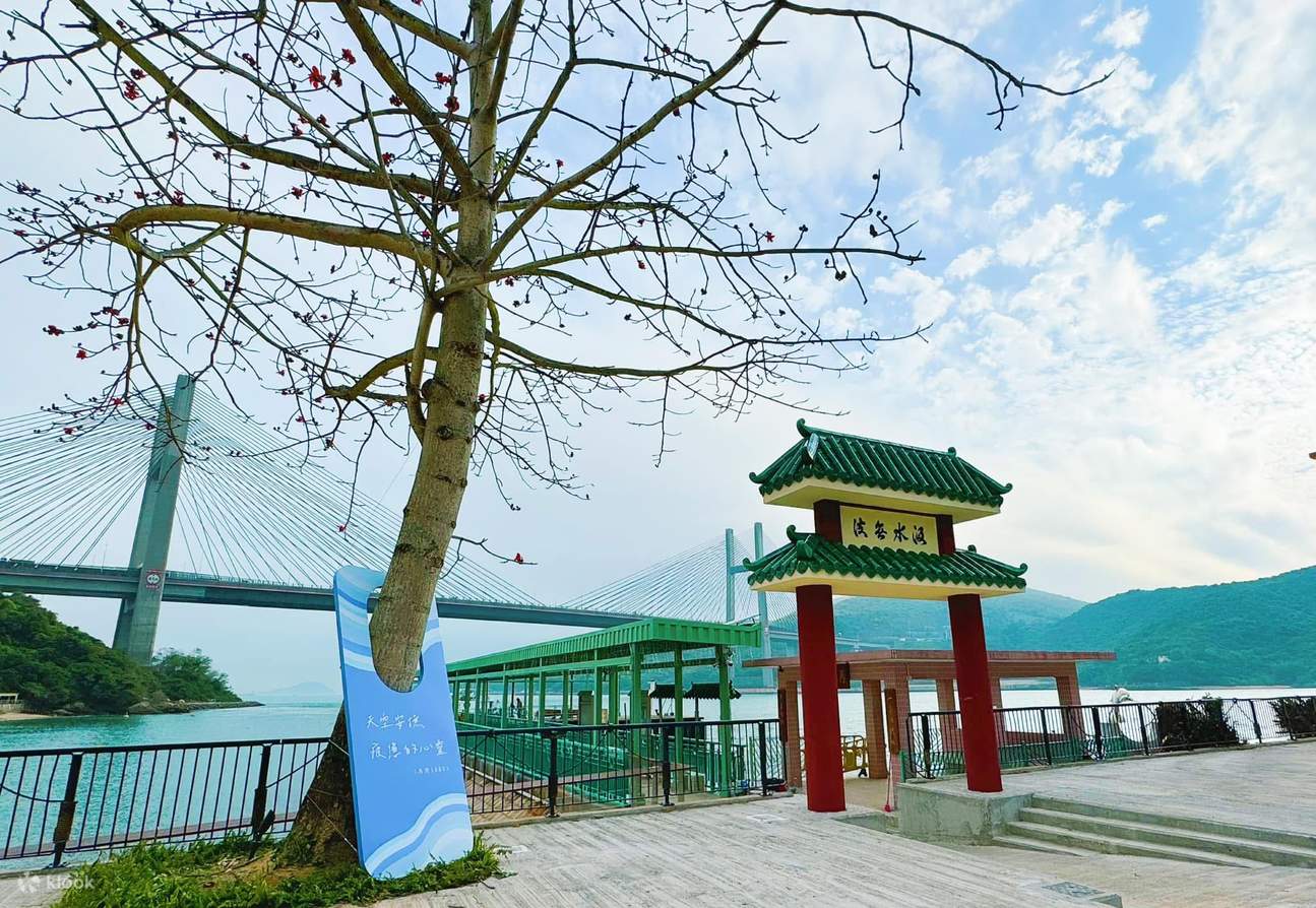 JUST BE霓虹灯冷光线艺术工作坊 【  即送小流体熊工作坊】｜香港马湾艺术村